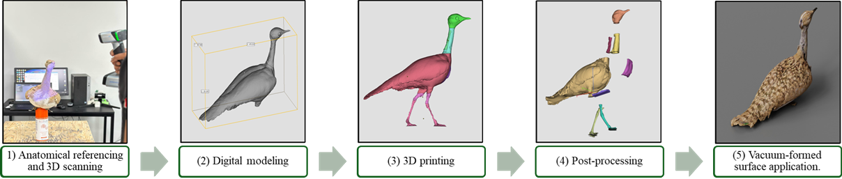 Design pipeline: scanning → modeling → 3D printing → skin