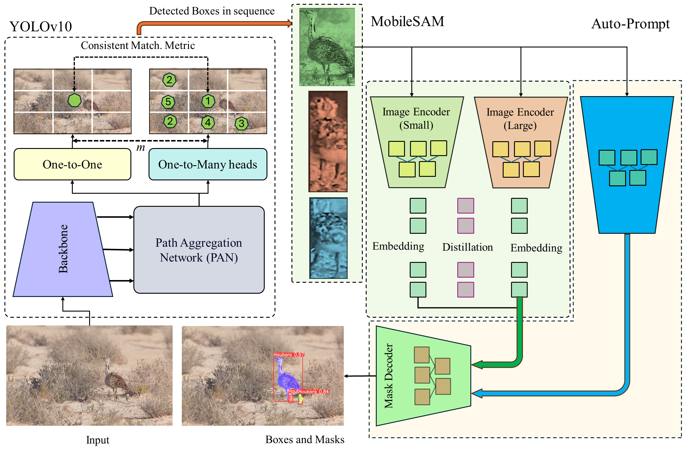 Houbara Detection System