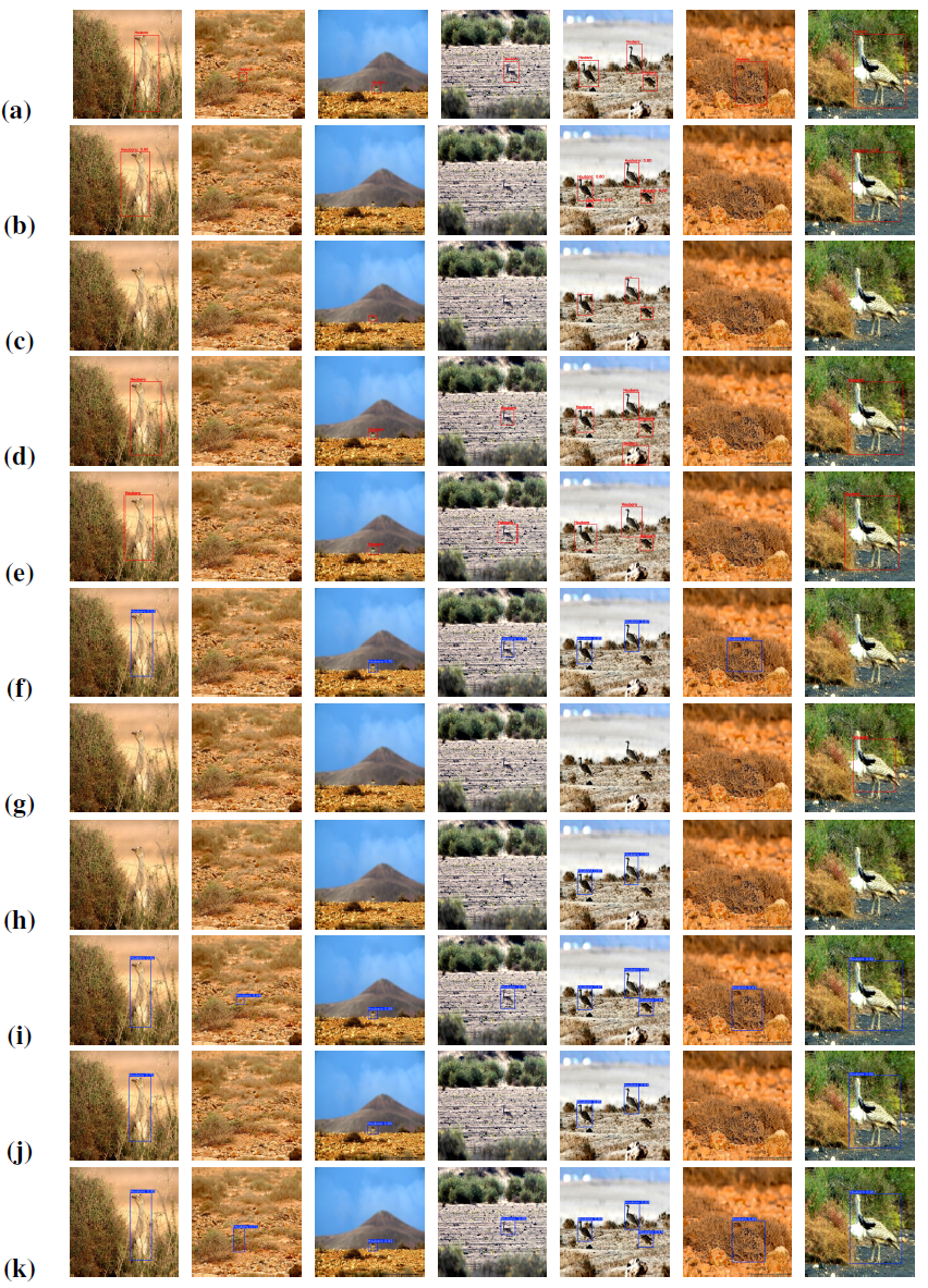 Real-time Houbara Analysis
