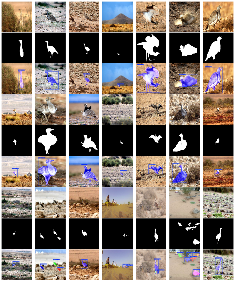 Qualitative Segmentation Comparison