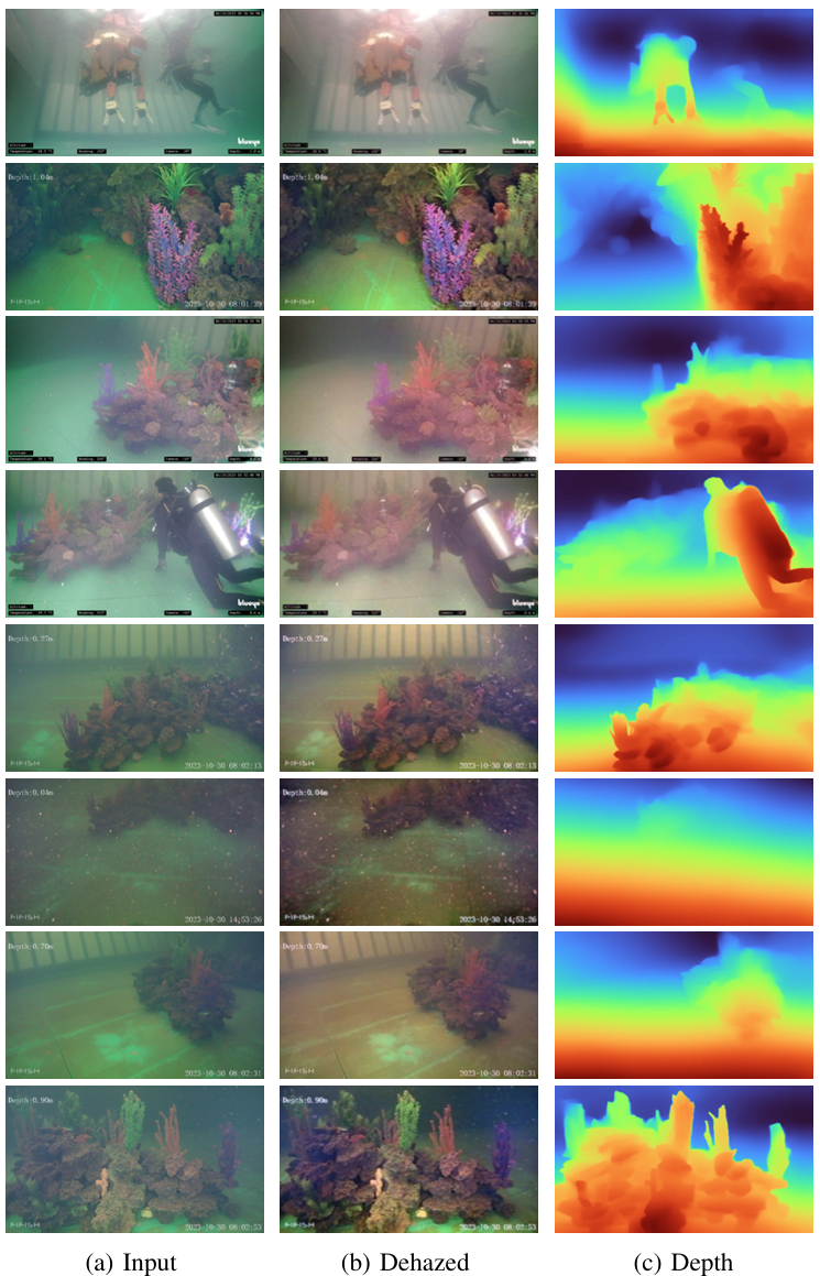 Visualization of input images, dehazed outputs, and corresponding depth maps